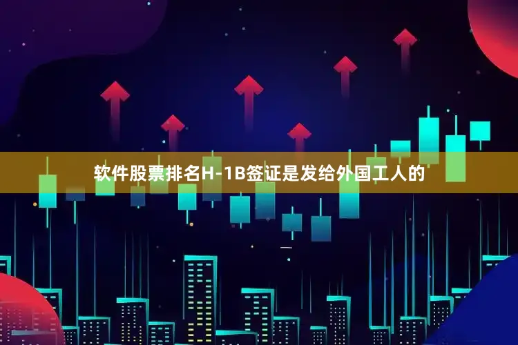软件股票排名H-1B签证是发给外国工人的